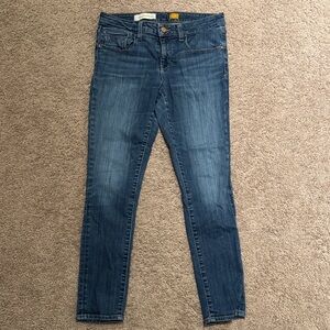 Pilcro and the Letterpress Dark Blue Skinny Jeans